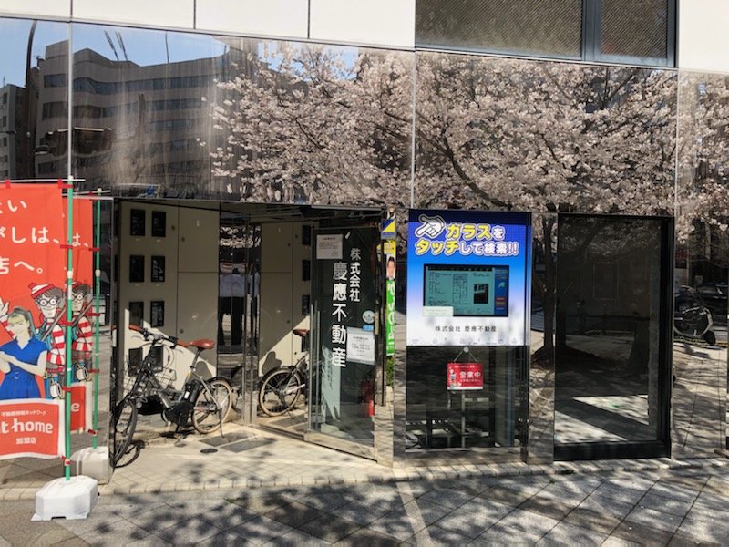 桜　玄関